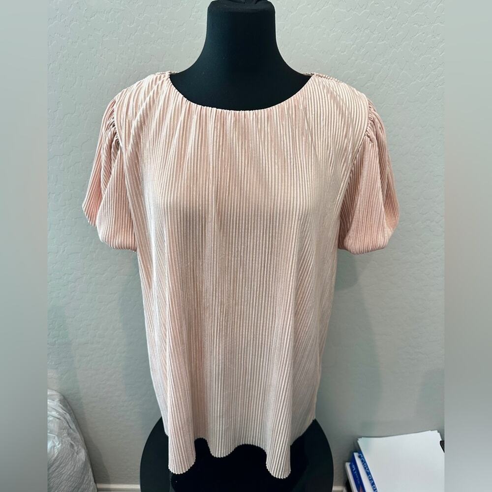 PIPER & SCOOT | Pink Sparkle Pleated Puff Sleeve Top | Size 1X - Picture 2 of 7